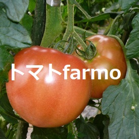 トマトfarmo